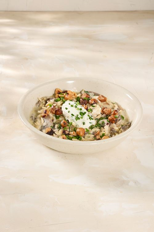 Mushroom Orzotto & Hazelnut