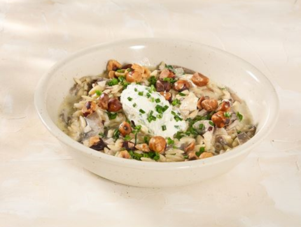 Mushroom Orzotto & Hazelnut